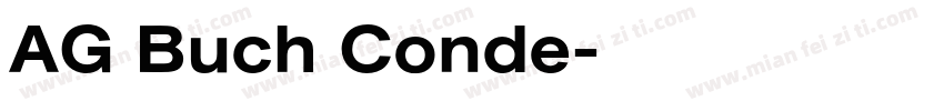 AG Buch Conde字体转换